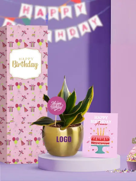 easy to care for indoor plants for employee birthdays