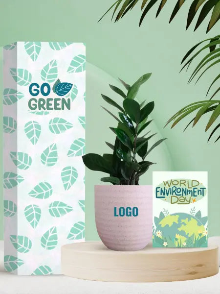 eco conscious desk gifts for environment day appreciation