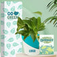 eco friendly for earth day gifting options with live indoor plants online