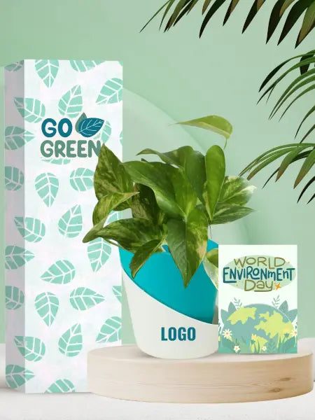 eco friendly for earth day gifting options with live indoor plants online