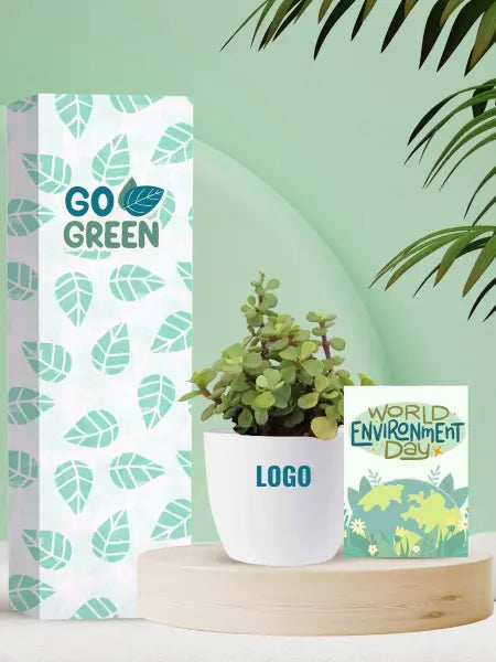 eco friendly office gifts to celebrate earth day sustainably