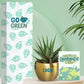 eco friendly plants for earth day corporate gifting