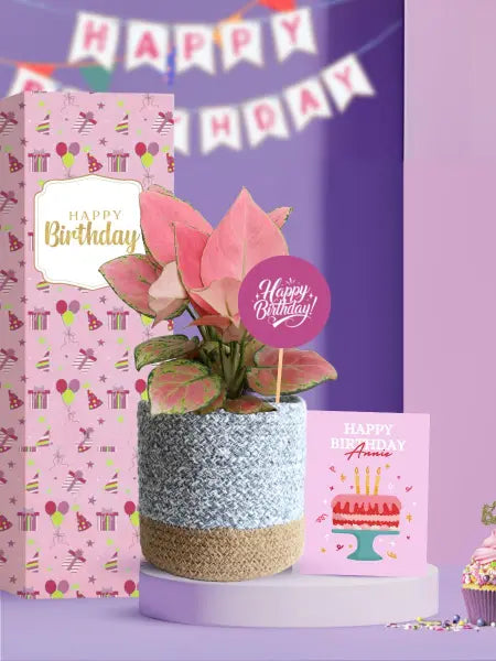 eco friendly thoughtful plant gifts to celebrate employee birthdays