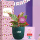 elegant indoor plants for birthday gifts for team members