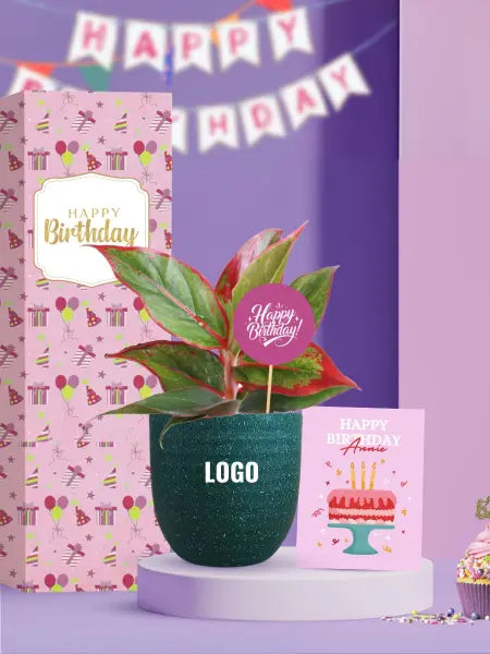 elegant indoor plants for birthday gifts for team members