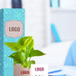elegant money plants for doctor appreciation