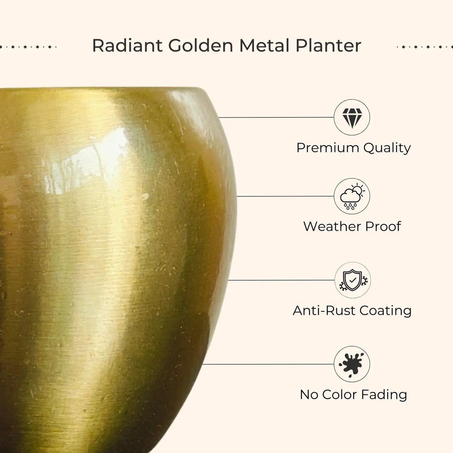 Money Plant Golden (Small) in Golden Metal Pot