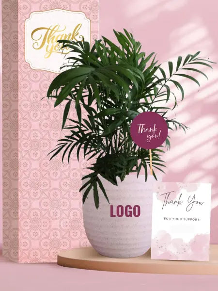 green and beautiful indoor plants for business gift ideas