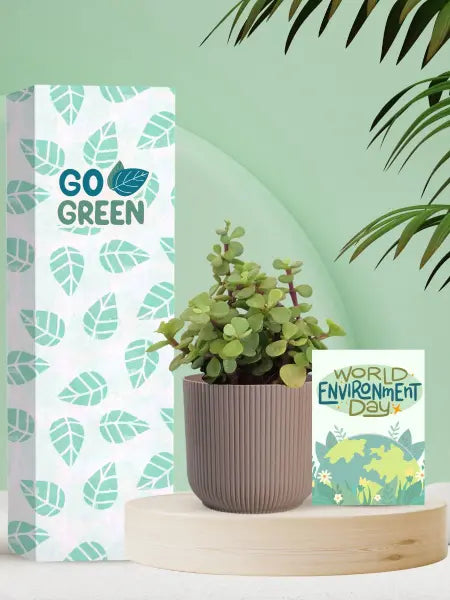 green and sustainable gifts for corporate earth day celebrations