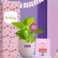 green birthday gifts with sustainable living plants for staff