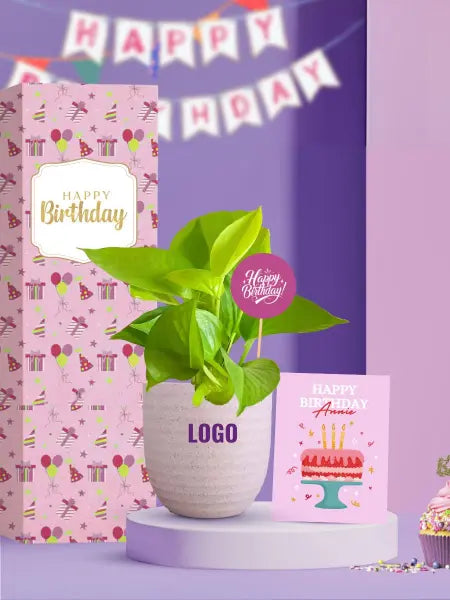 green birthday gifts with sustainable living plants for staff