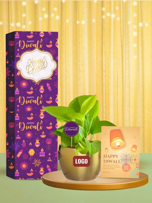 green gifts for corporate diwali celebrations