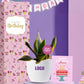 hardy and low maintenance plants for employee birthday gifting