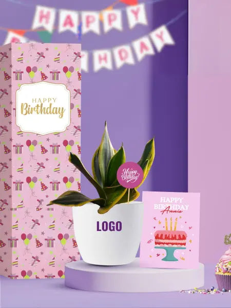 hardy and low maintenance plants for employee birthday gifting