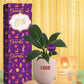 hardy green plants for diwali token for customers gifts
