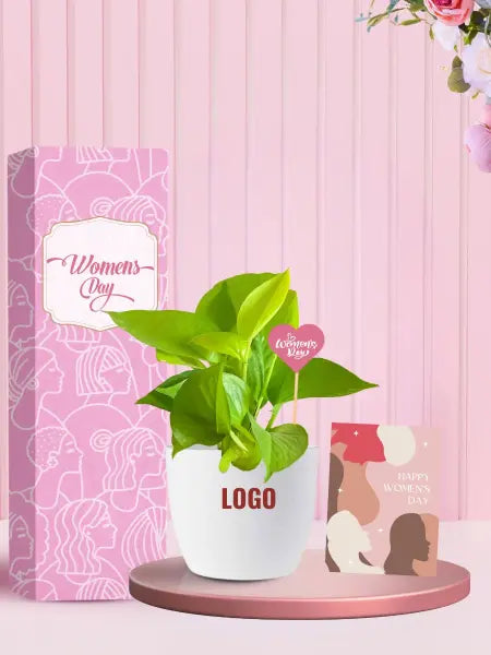 hardy money plants for women's day gift that last