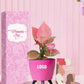 indoor plants for memorable women's day gift giving
