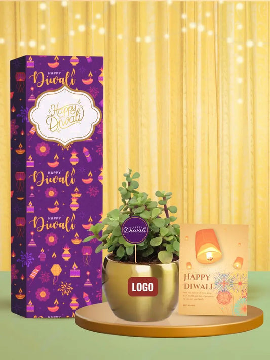 jade plants for growth focused diwali gifts