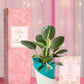 live plant for marriage return gifts indian wedding
