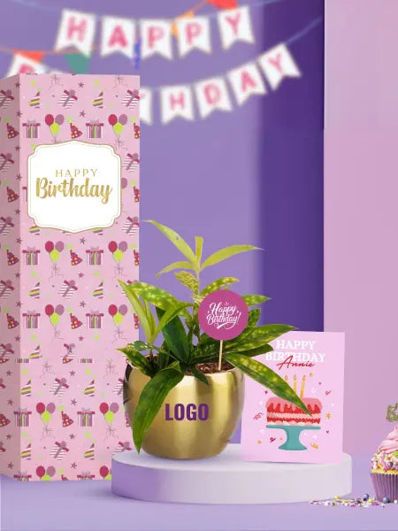 live plants for thoughtful and lasting corporate birthday gifts