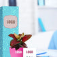 lively indoor plants for doctor and pharma gifting