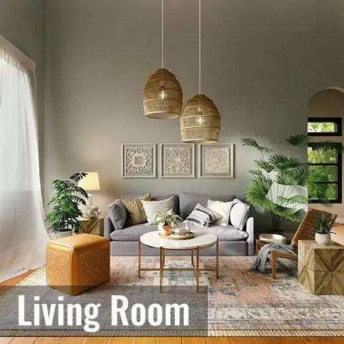 buy exotic indoor plants for living room