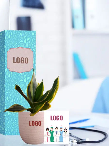 logo branded snake plants for medical professionals