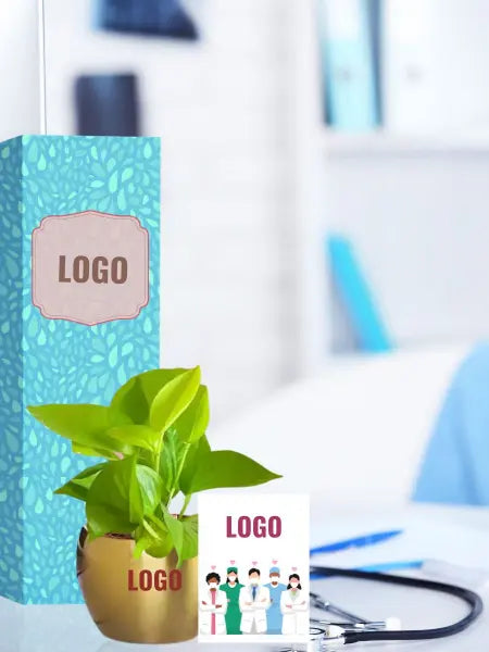 logo engraved lush money plants for doctor gifting