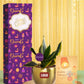 long lasting potted plants for diwali corporate gifting