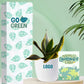 low maintenance indoor plants for earth day corporate events