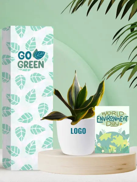 low maintenance indoor plants for earth day corporate events