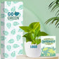 low maintenance indoor plants for environment daycorporate events
