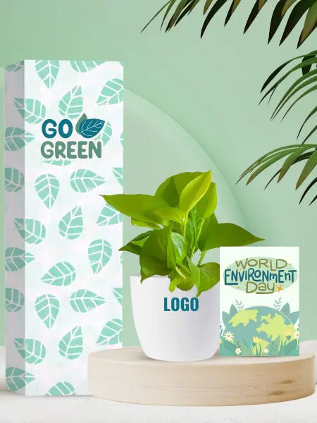 low maintenance indoor plants for environment daycorporate events