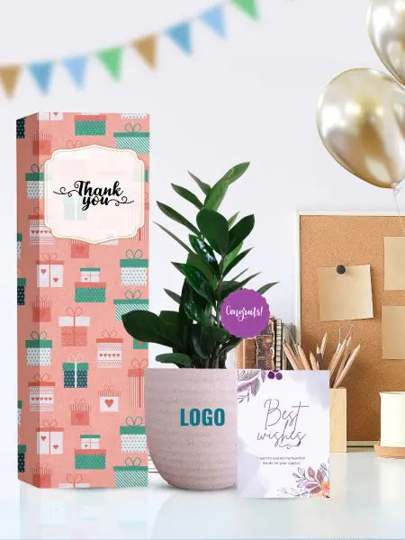 Lush office plants for employee anniversary celebrations