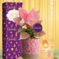 medium sized indoor plants to brighten diwali gifting moments