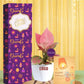 money plants for diwali business partner gifting