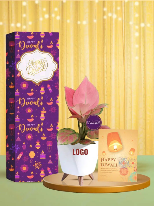 money plants for diwali business partner gifting