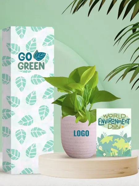 money plants for lucky and eco conscious corporate gifting