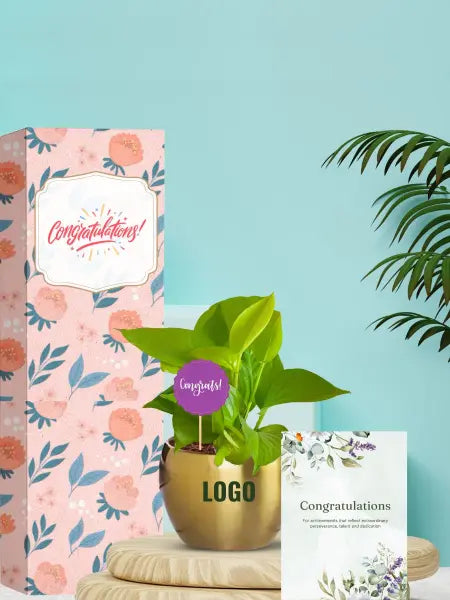 money plants for sustainable giveaways