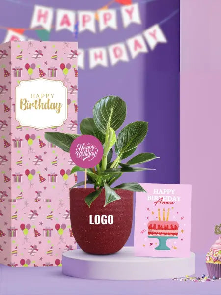 personalized indoor plants for employee birthday gifting solutions