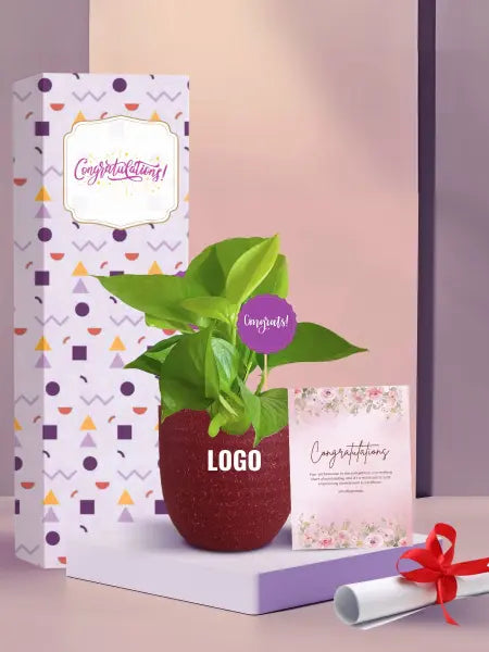 personalized potted plants for exceptional employee achievements