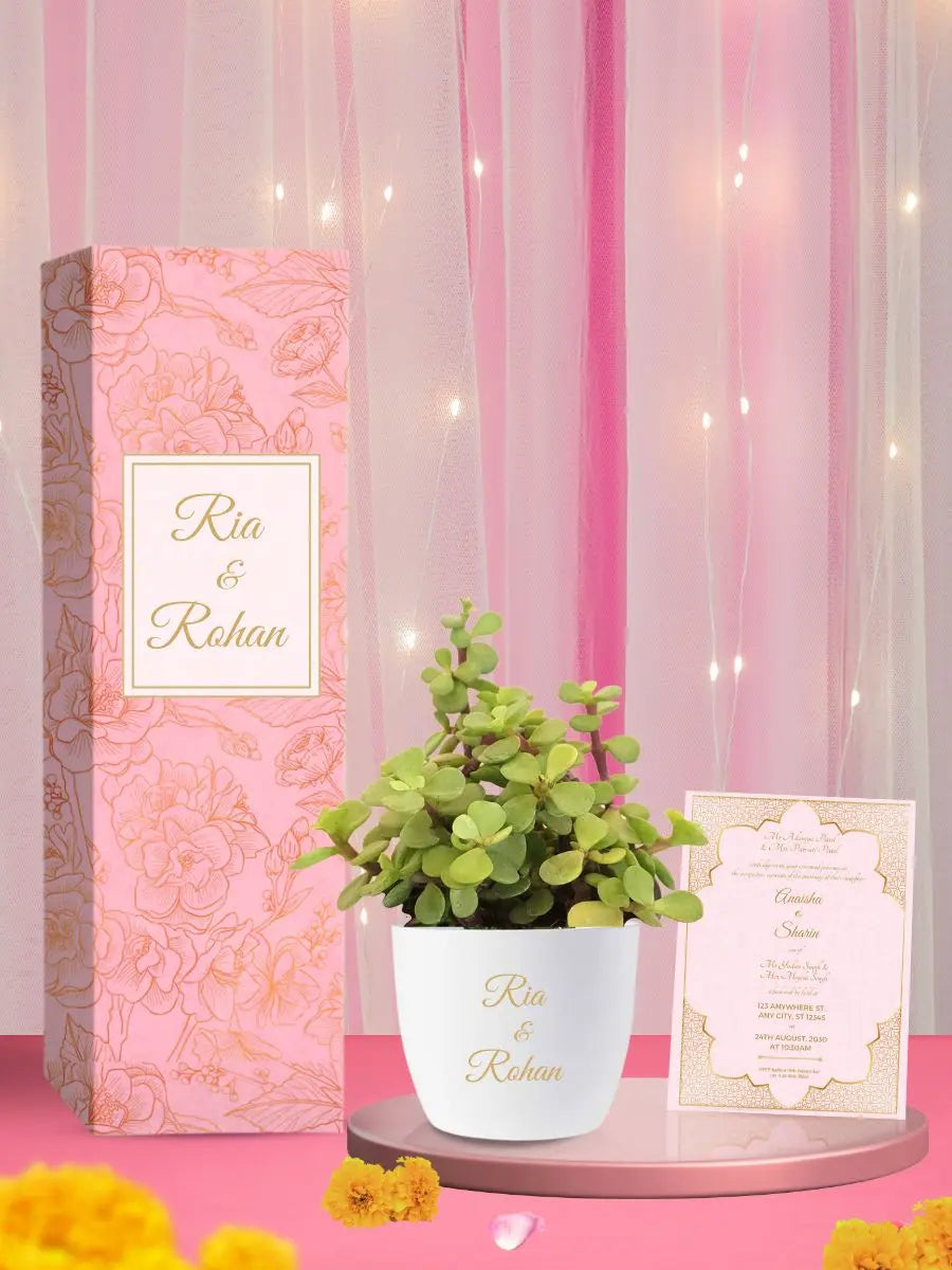 personalized wedding return gifts jade plant