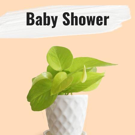 small plants for gifts for baby shower
