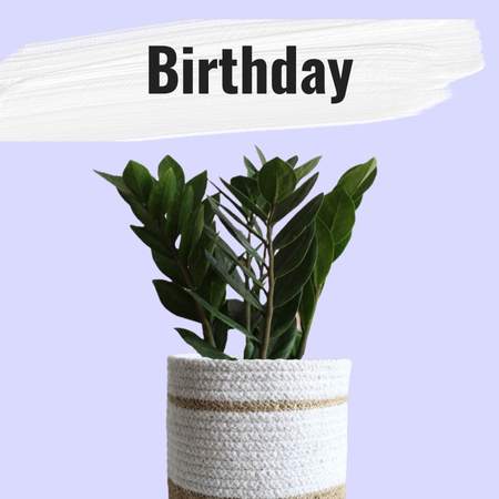 plants for gifting for birthday
