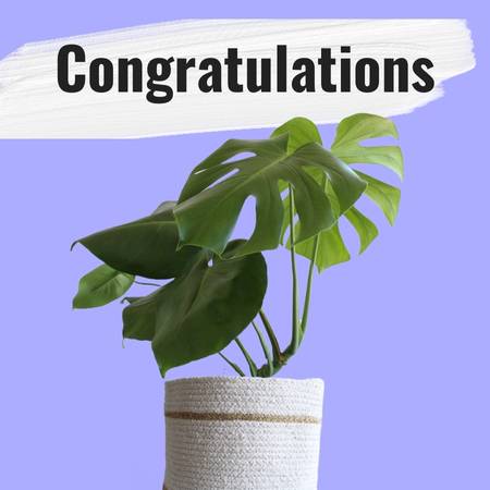 plants for gifting for congratulations