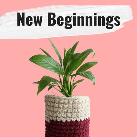 plants for gifting for new beginnings