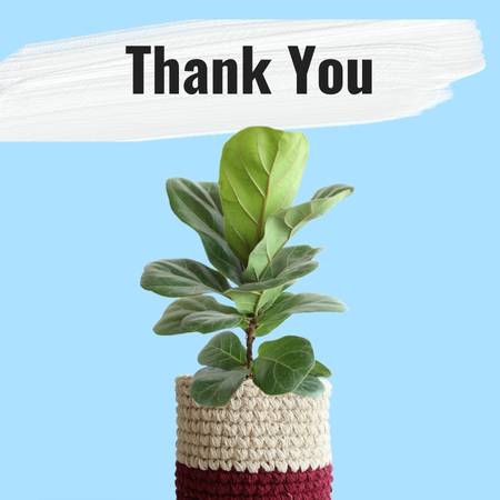 plants for gifting to say thank you