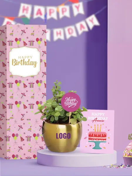 potted desk plants for unique birthday gifts for employees