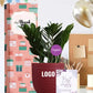 premium indoor plants for employee anniversary recognition