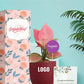 premium medium indoor plants for conference gifting